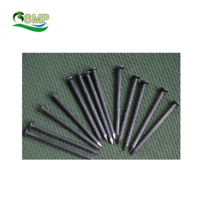 45# Concrete Steel Nail / Cement Nail / Galvanized Masonry Nails