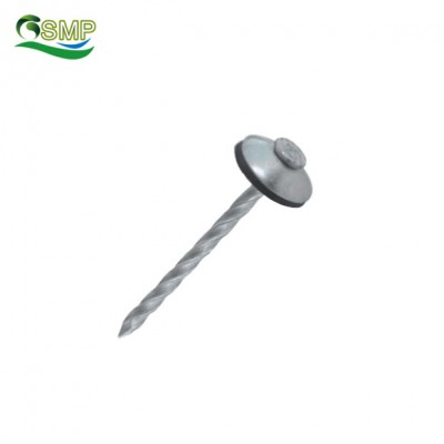 Common nails/Concrete steel nail/Roofing nail China manufacturer